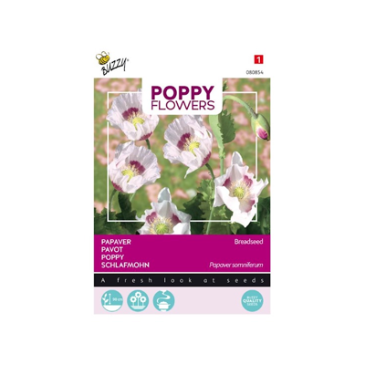 Zaden Poppies of the world Papaver Blauwmaanzaad Buzzy - Buzzy