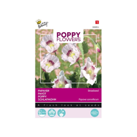 Zaden Poppies of the world Papaver Blauwmaanzaad Buzzy - Buzzy - thumbnail