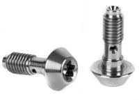 Elvedes banjobout magura rvs (10) - thumbnail