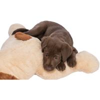 TRIXIE Honden knuffel Grote hond Sam, beige - thumbnail