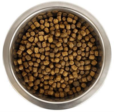 YOURDOG KONINGSPOEDEL PUP 3 KG