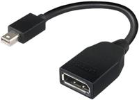 Lenovo 4X90L13971 DisplayPort Adapter [1x Mini-DisplayPort stekker - 1x DisplayPort bus] Zwart 0 m - thumbnail