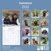 Teckel Kalender 2026 - thumbnail