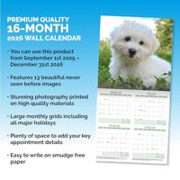 Cockapoo Puppies Kalender 2026 - thumbnail