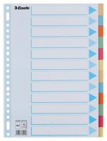 Tabbaden esselte premium a4 12dlg karton 23r ass | 25 stuks - thumbnail