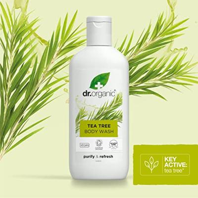 Dr Organic Teatree Bodywash