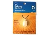 Ruben Robijn Sterrenbeeldhanger stier (1 st) - thumbnail