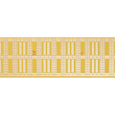 Rademacher WR-Typ 930-1 Experimenteer printplaat Hardpapier (l x b) 160 mm x 60 mm 35 µm Rastermaat 2.54 mm Inhoud 1 stuk(s)