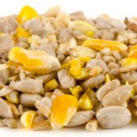 Premium Voedermix Puur 10 kg - thumbnail