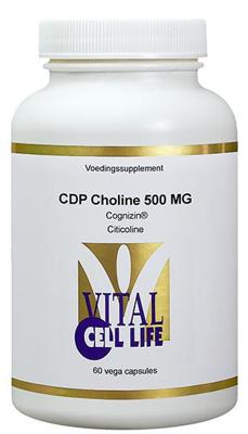 CDP choline 500mg 60 Vegetarische capsules CDP choline 500mg 60 Vegetarische capsules