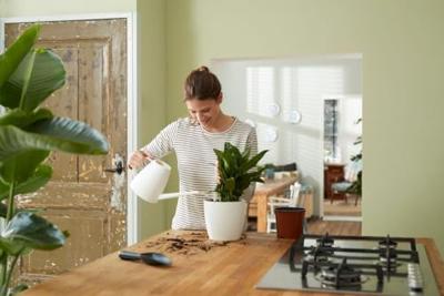 Elho self-watering insert 24 living black - thumbnail