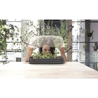 Kweekbak met Ventilatieopening 39.1x25.7x18.5 cm Transparant/Zwart - thumbnail