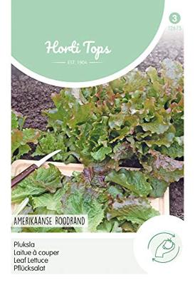 Zaden Pluksla Amerikaanse Roodrand Hortitops - Hortitops