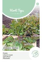 Zaden Pluksla Amerikaanse Roodrand Hortitops - Hortitops - thumbnail