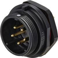 Weipu SP2112 / P 5C Ronde connector Stekker, inbouw Totaal aantal polen: 5 Serie (ronde connectoren): SP21 1 stuk(s) - thumbnail