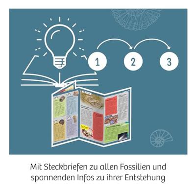 Kosmos fossielen uithakken