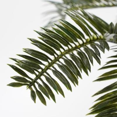 Decoratieve plant Mica Decorations Keramisch Palmboom (11,5 x 33 cm)