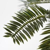 Decoratieve plant Mica Decorations Keramisch Palmboom (11,5 x 33 cm) - thumbnail