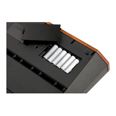 Korg Monologue Silver