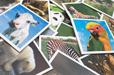 Tactic Animals Babies Memo Memory
