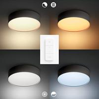 Philips Plafondlamp Hue Enrave S - White Ambiance Ø 26,1cm zwart 915005996501 - thumbnail