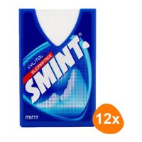 Smint mint blauw (12x 40 stuks) (kopie) - thumbnail
