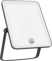 OSRAM HOMELIGHTING Floodlight Essential Sensor 30W 3000K 4099854430091 LED-buitenschijnwerper met bewegingsmelder 30 W Lichtkleur (naam): Warmwit - thumbnail