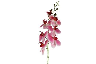 Decostar zijdebloem Phalaenopsis 83 cm roze