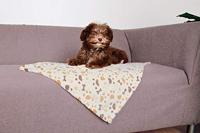 TRIXIE DEKEN LINGO SOFTFLEECE WIT / BEIGE 75X50X2 CM 2 ST - thumbnail