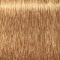 Indola PCC Fashion - thumbnail