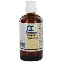 GO Sorbus domestica bio 100 Milliliter - thumbnail
