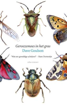Geroezemoes in het gras - Dave Goulson - eBook (9789045028422)