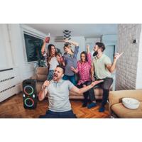 MEDION P67038 partygeluidssysteem (partyluidsprekers, karaoke, batterij, FM-radio, Bluetooth 5.0, compact systeem, 2x 220 watt, gekleurde LED, USB, AUX, 2x microfoonaansluiting) - thumbnail