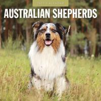Australian Shepherd Kalender 2027 - thumbnail