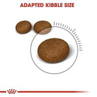 Royal Canin Hair & Skin Care kattenvoer 4 kg - thumbnail