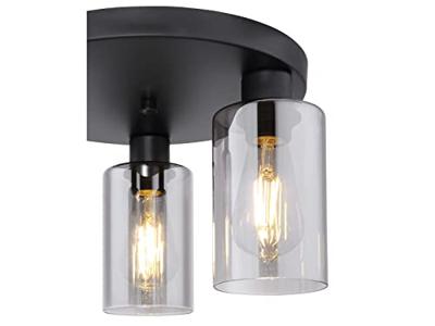 Globo PlafondlampHadera met smoke glas - 15465-3D