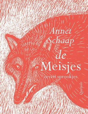 DE MEISJES - Annet Schaap - ebook