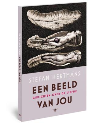 Een beeld van jou - Stefan Hertmans - ebook