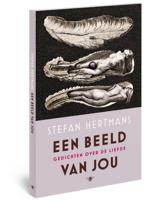 Een beeld van jou - Stefan Hertmans - ebook - thumbnail