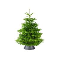 Kerstboomstandaard Nordman 39cm anthraciet Elho - Elho - thumbnail