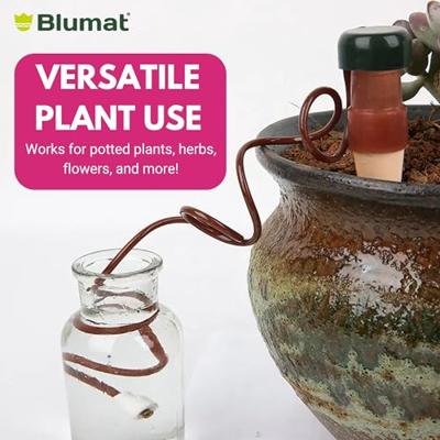 Blumat Blumat Kamerplant