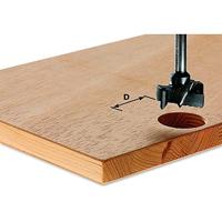 Festool Accessoires HW S8 D15 Beslagboor | 491070 - thumbnail