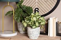 Clayre & Eef Bloempot Ø 21x20 cm Groen Beige Keramiek Bloemen - thumbnail