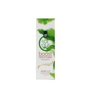 Henna Plus Colour boost silver 200 Milliliter - thumbnail