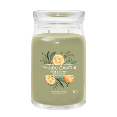 Yankee Candle sage en citrus signature large jar