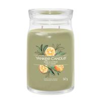 Yankee Candle sage en citrus signature large jar - thumbnail