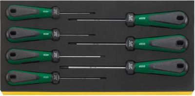 Stahlwille inlay torxschroevendraaiers tcs