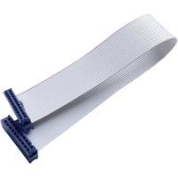 BKL Electronic 10120672 Lintkabel Rastermaat: 2.54 mm 20 x 0.08 mm² Grijs 1 stuk(s) - thumbnail