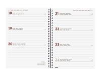 Viooltje blauw - thumbnail