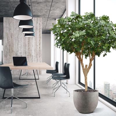 Vijgen Kunstboom Deluxe 250cm N